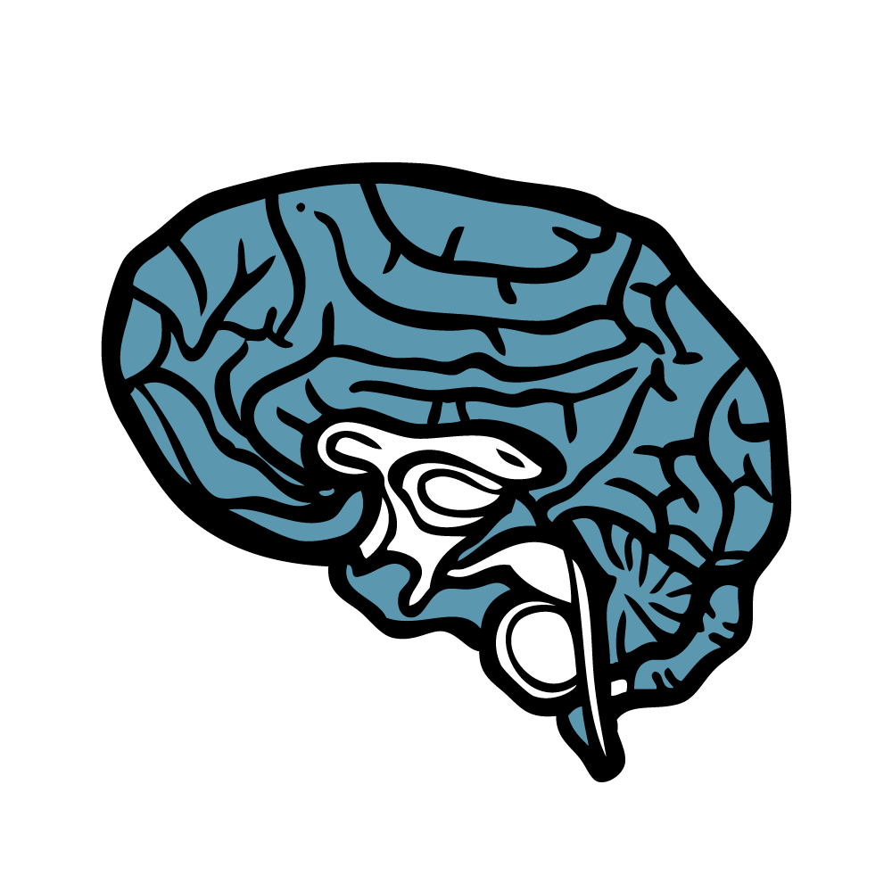 Stylized illustration of a brain