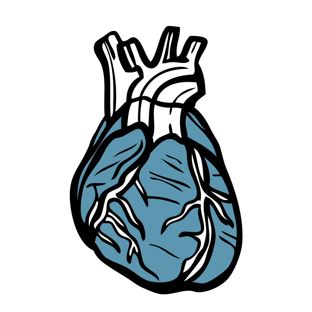 Stylized illustration of a heart.